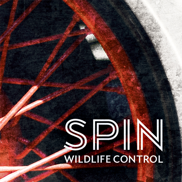 Spin
